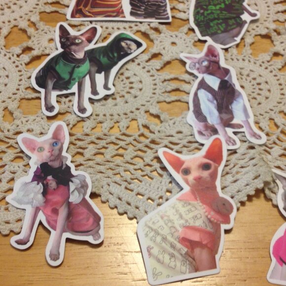 Sphynx Cats Stickers, funny, quirky, silly, for computer, crafts, lockers - Picture 4 of 7